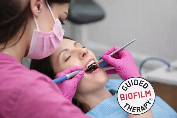 Švýcarská metodika